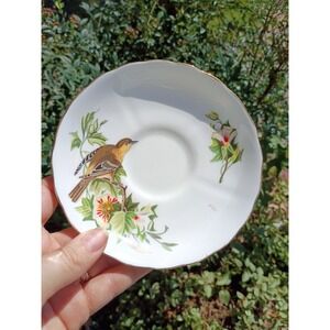 Tuscan Audubon Birds Baltimore Oriole  Bone China Saucer only - NO CUP